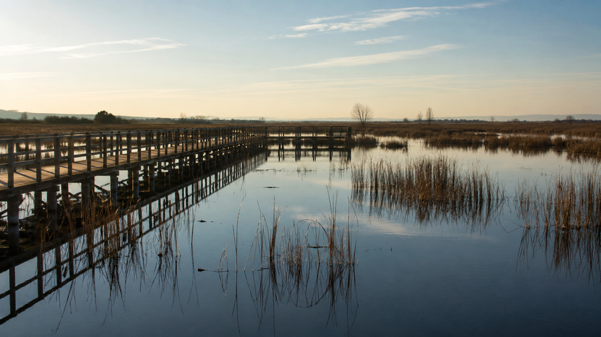 Un ‘Benjamin Button hidrológico’: el curioso caso del río Guadiana en las Tablas de Daimiel