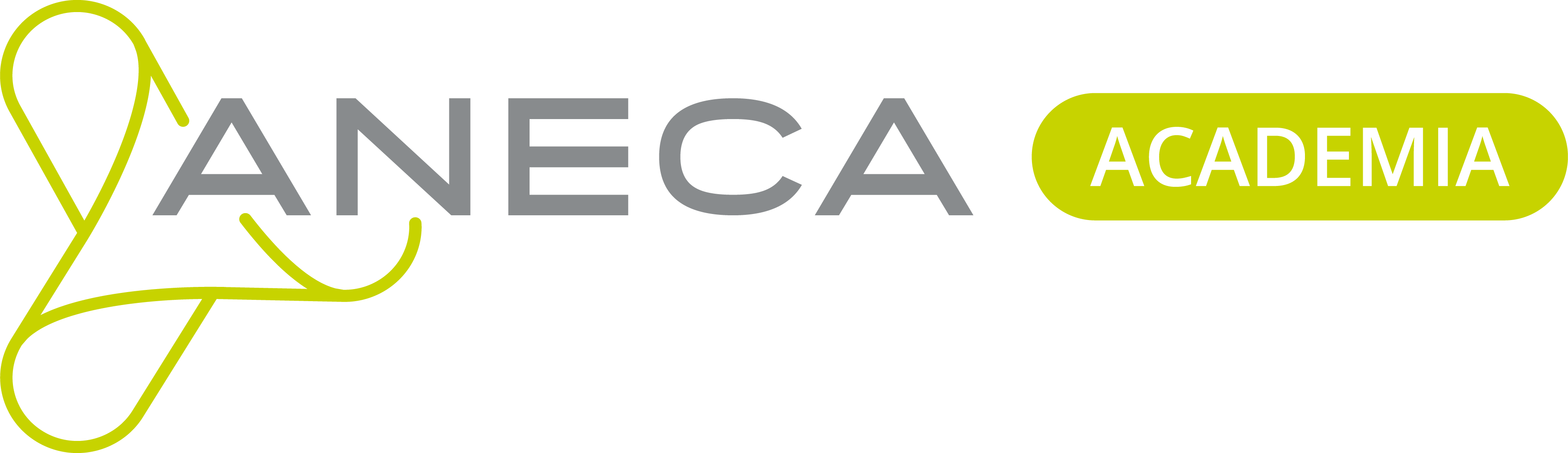 Academia