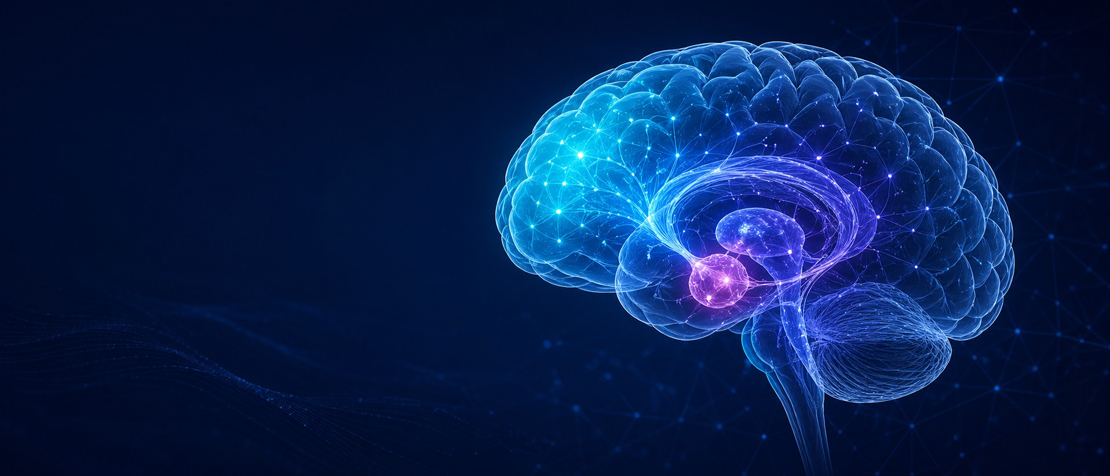 20260428_banner_abstinencia