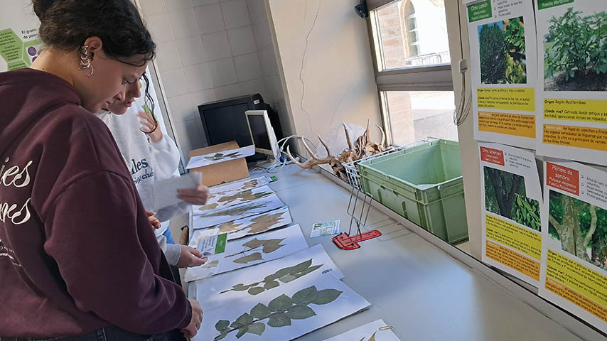 Semana de la Ciencia en el Campus de Toledo