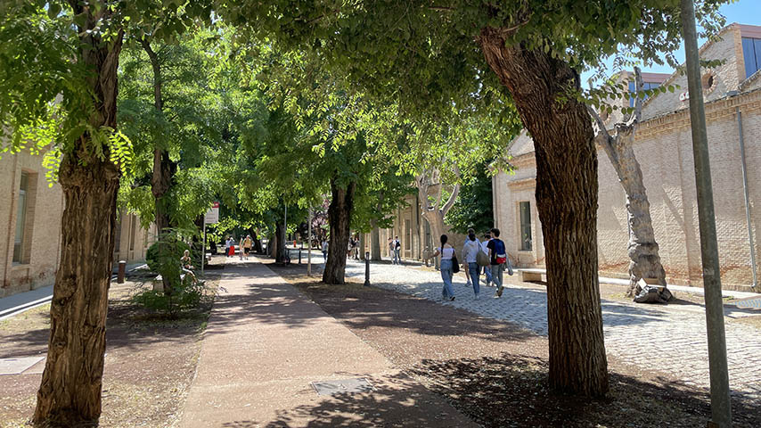 Campus de la Fábrica de Armas de Toledo