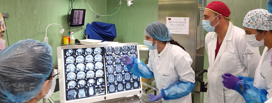 Clase de neuroanatomía en la Facultad de Medicina de la UCLM
