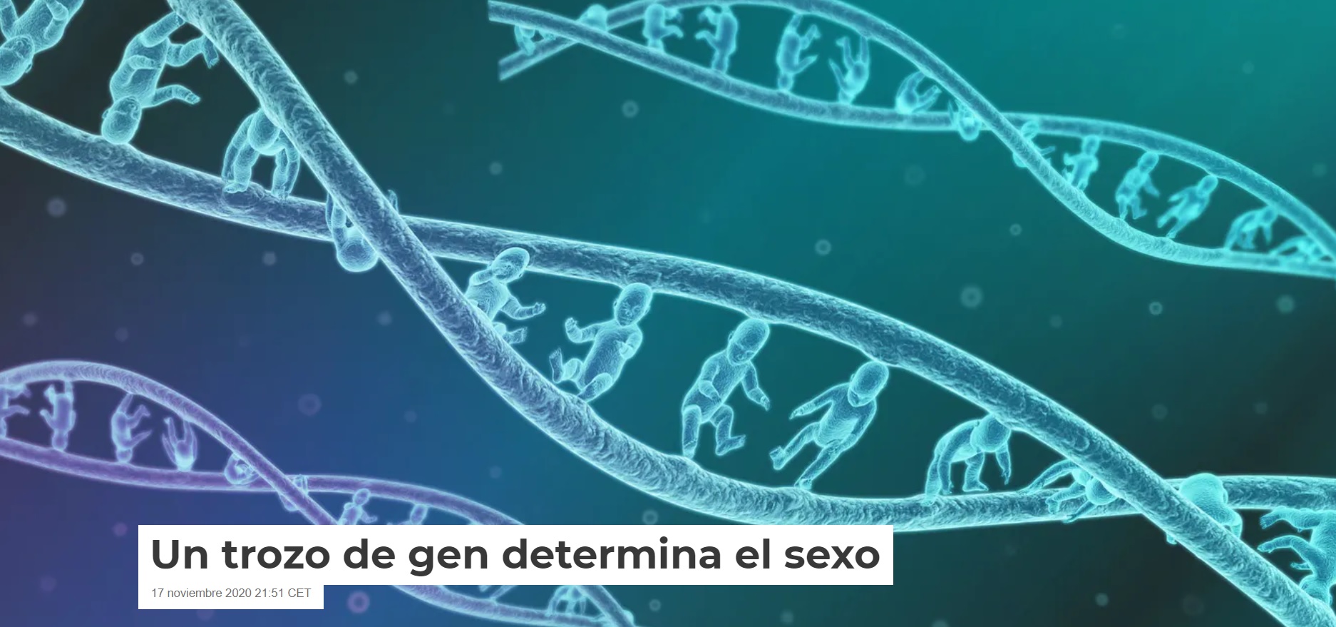 Un trozo de gen determina el sexo, por J